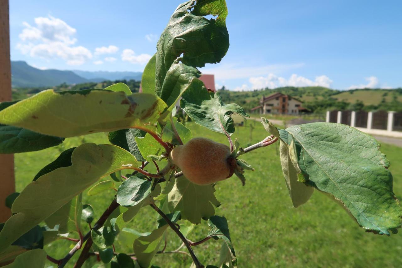 Pensiunea Casa Nostalgia Törcsvár Kültér fotó